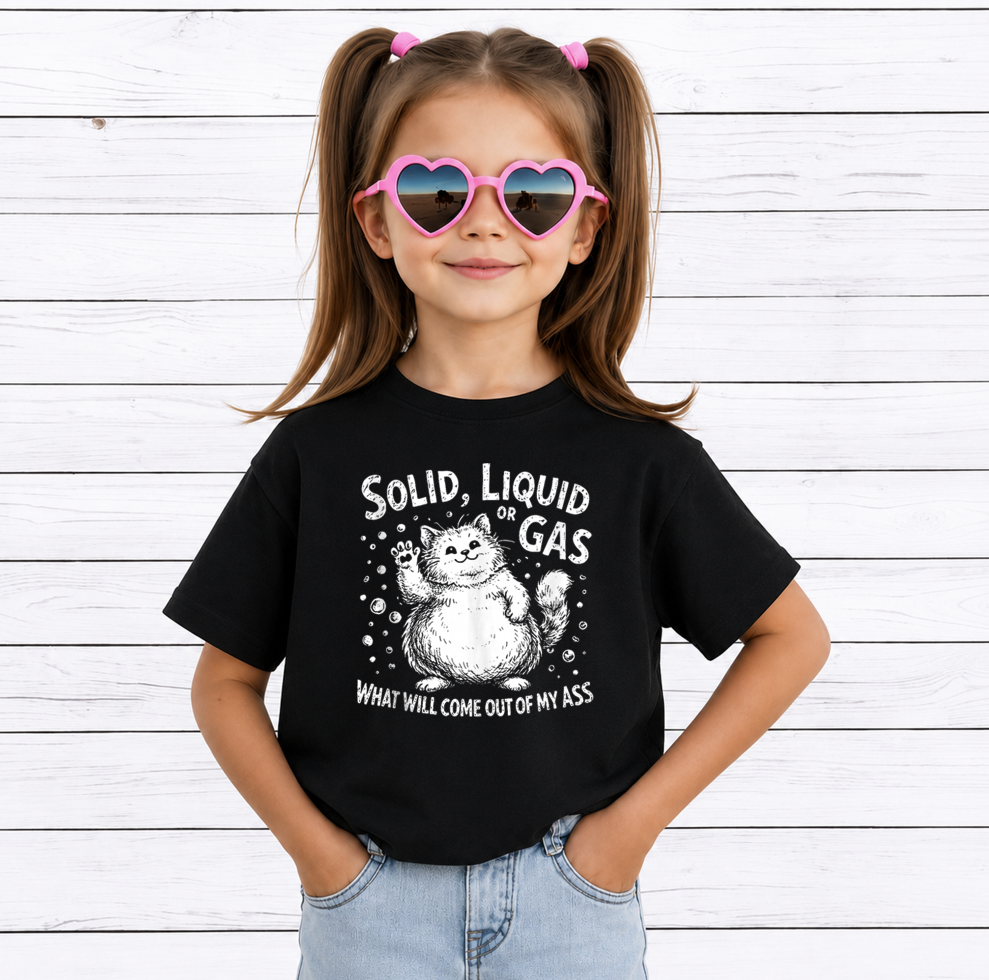 Solid Liquid or Gas PNG Bundle, Funny Science Teacher PNG, Chemistry Classroom Sublimation Design, STEM Shirt Digital Download