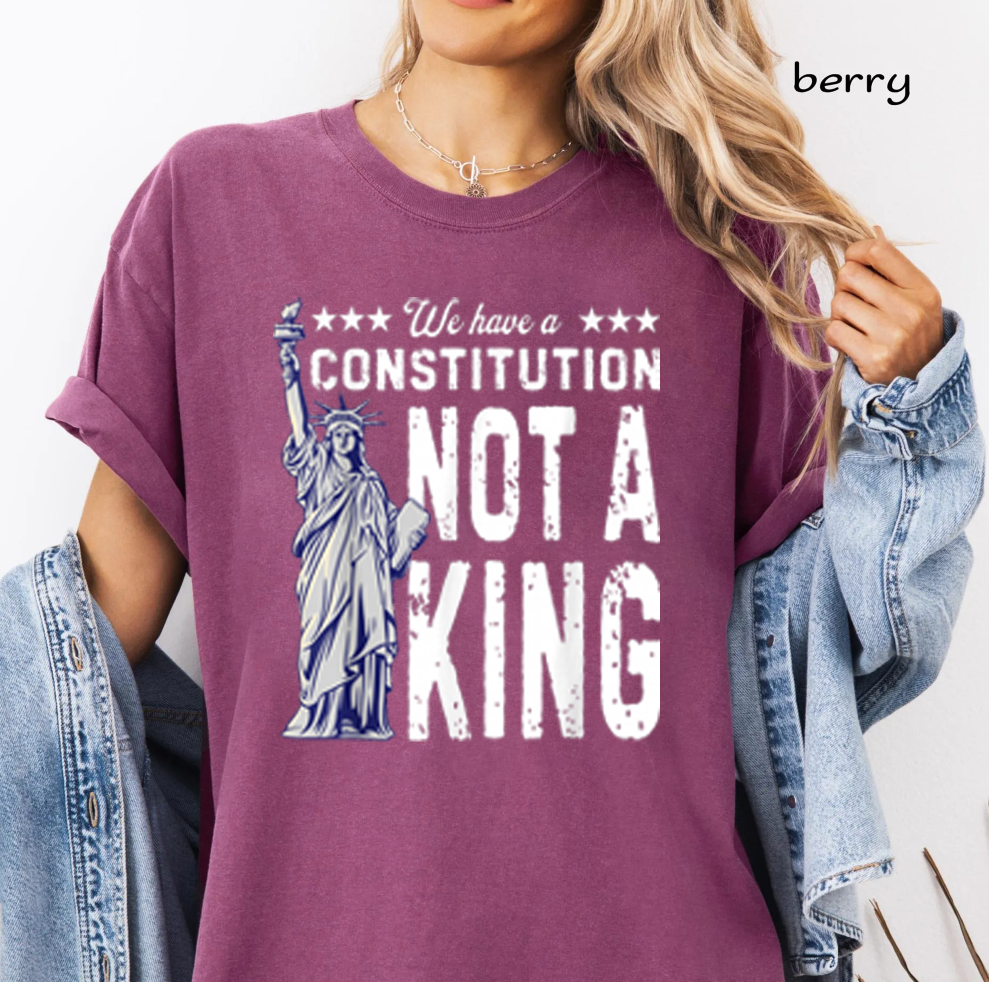 No Kings PNG Bundle, Patriotic Protest Quotes, Political Statement Sublimation Designs, USA Digital Download