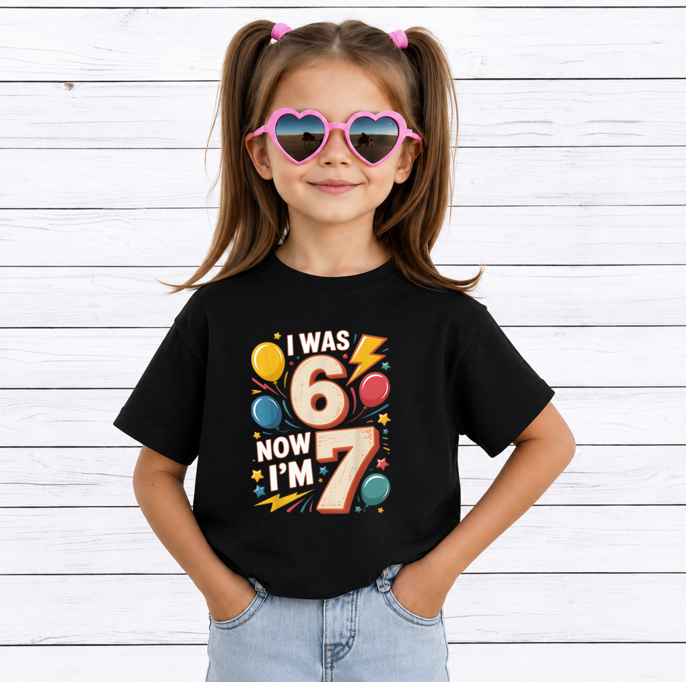 24+ 67th Birthday PNG Bundle, I Was 66 Now I'm 67, Funny Birthday Shirt Designs, Sublimation Collection, Printable Digital Download